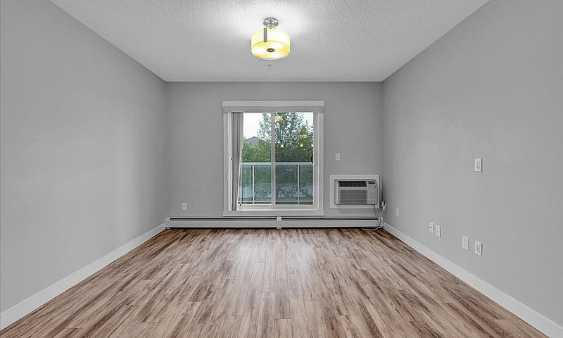 Beautiful Modern Con...
