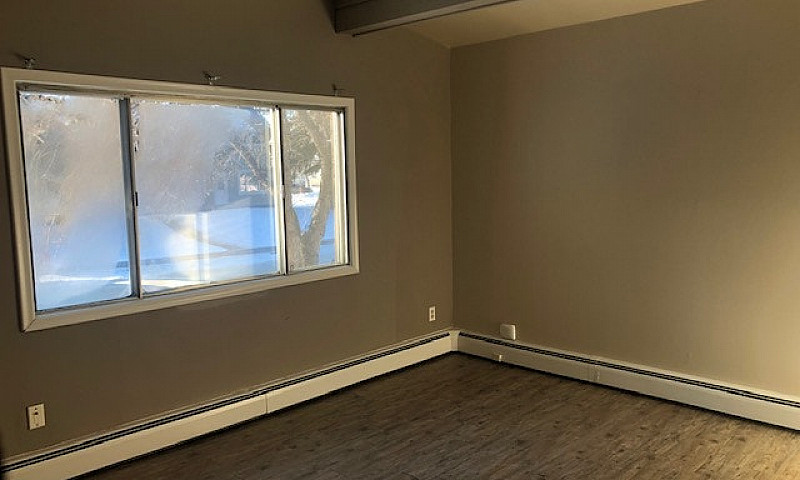 Bachelor Suites - Dr...