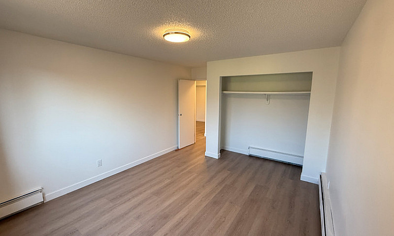 Modern 1 Bed 1 Bath ...