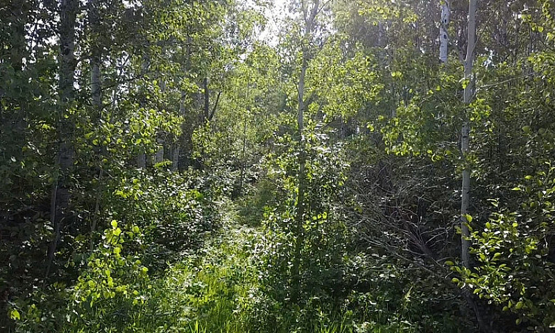 7.51 Acre Property I...