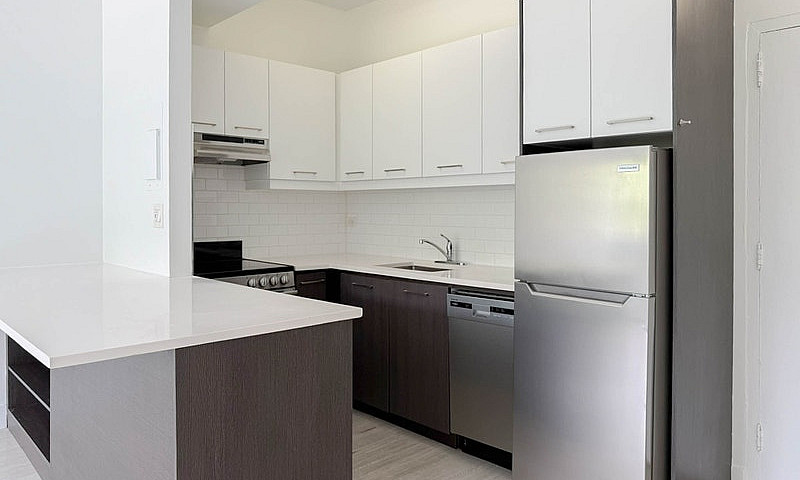 1 Bedroom Apartment ...
