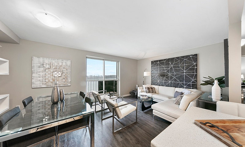 1 Bedroom Apartment ...