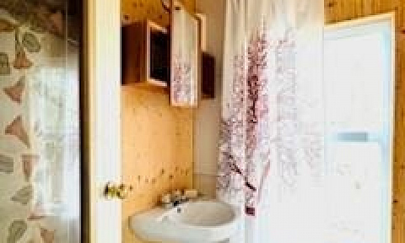 374 Halibut Hill Rd ...
