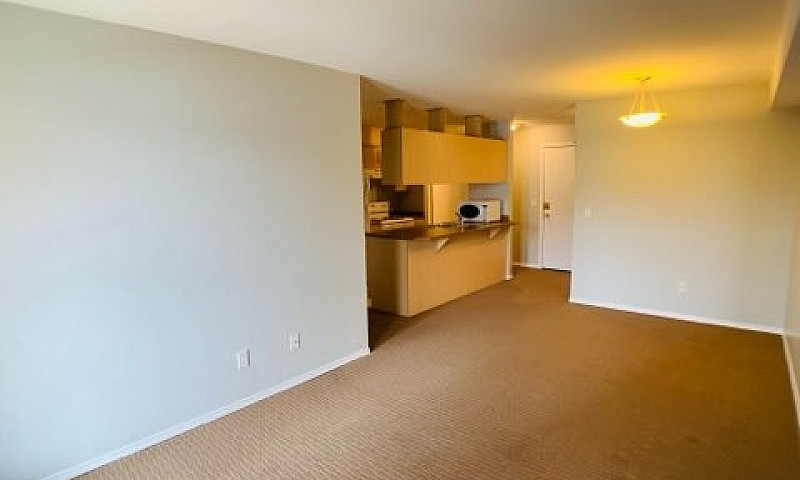 214-8219 Fraser Ave...