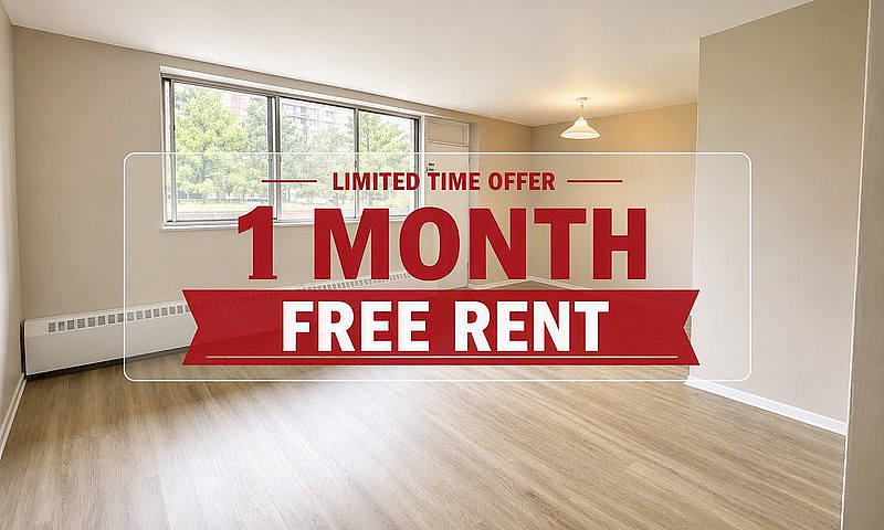 1 Bedroom Apartment ...