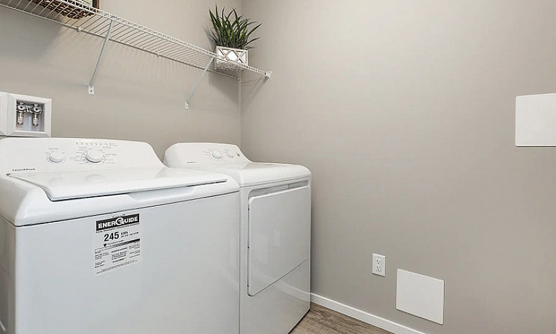 Pet-Friendly Three B...