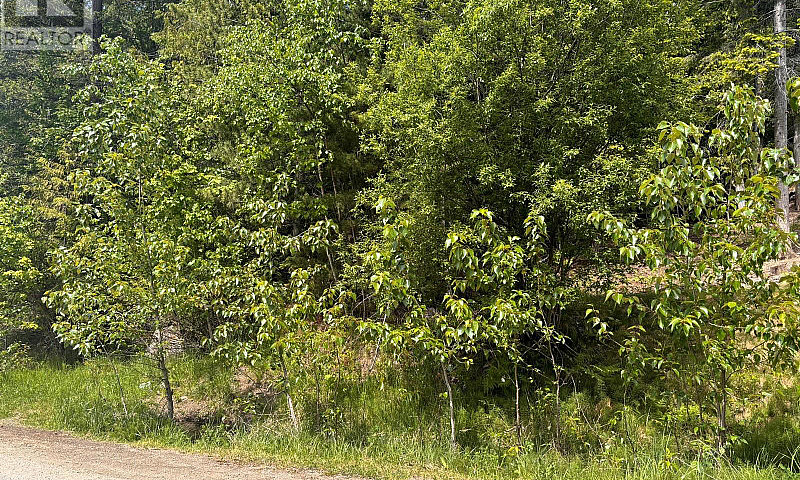 Lot 158 Anglemont Dr...