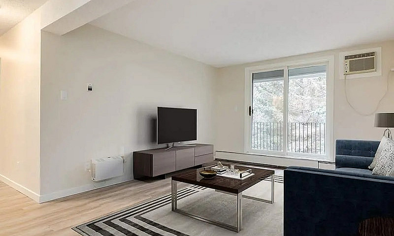 Modern Apartments Wi...