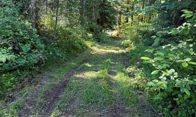 Lot 3 Palmer Rd Erri...