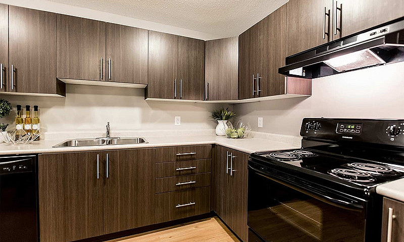 Pet-Friendly One Bed...