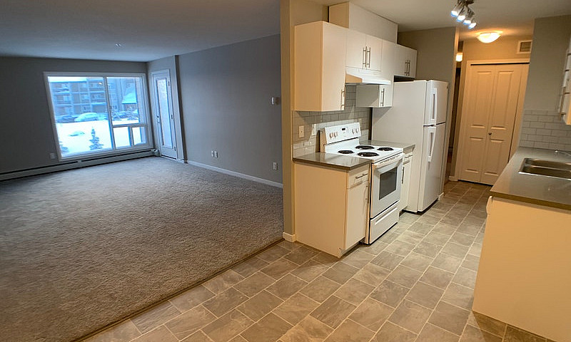 1325-201 Abasand Dr...