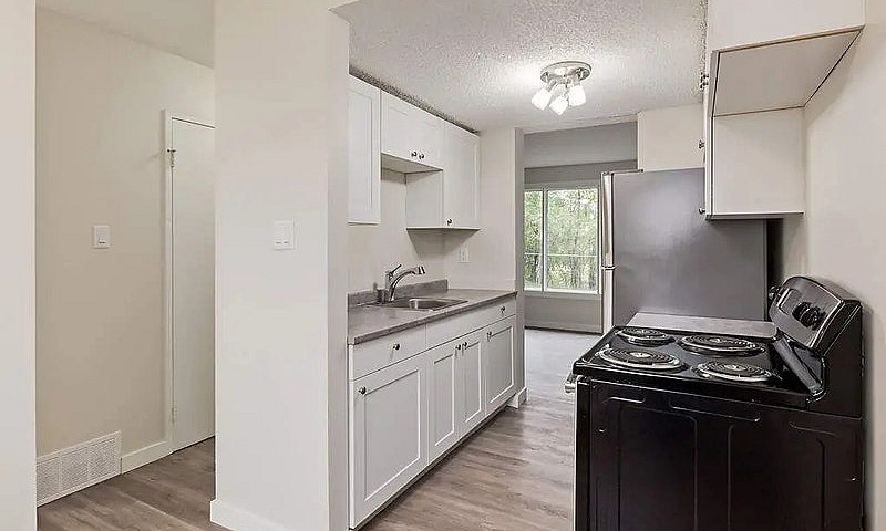 Townhomes With In Su...