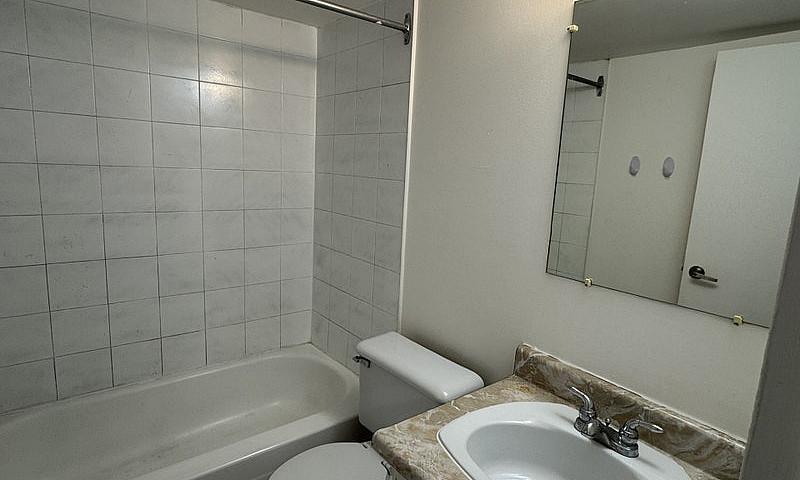 1 Bedroom/Studio 1 1...