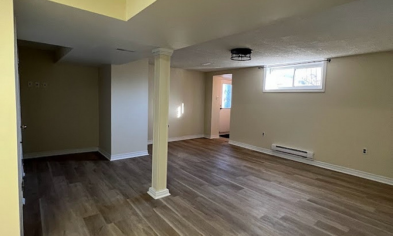 1 Bedroom Walkout Ba...