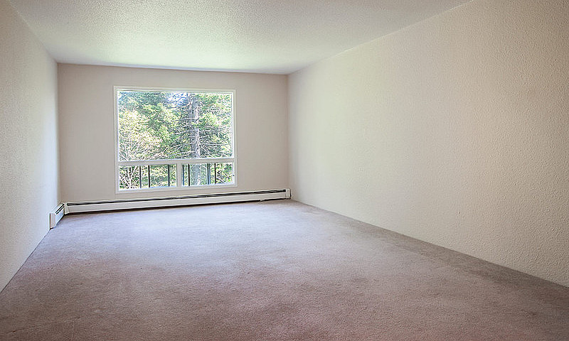 Great 1 Bedroom In C...
