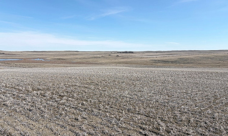 Farm Land For Sale W...