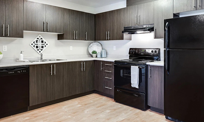 Pet-Friendly One Bed...