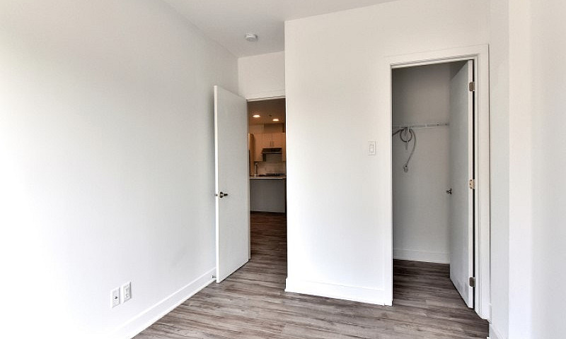 1 Chambre Condo Appa...