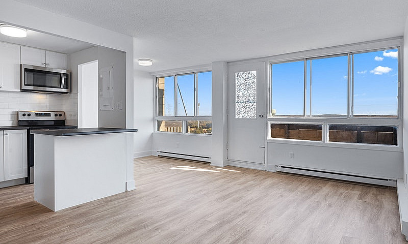 1 Bedroom Apartment ...