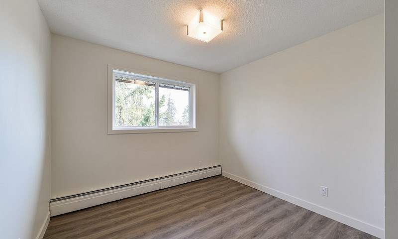 2 Bedroom Basement P...
