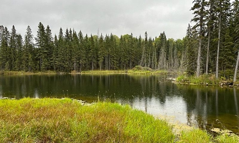 Beautiful Acreage Fo...