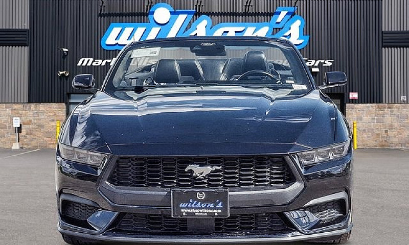 2025 Ford Mustang Co...