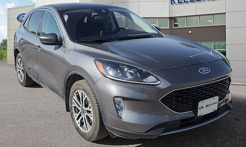2022 Ford Escape Sel...