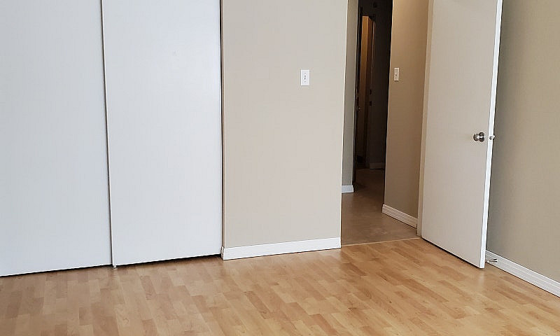 One Bedroom Apartmen...