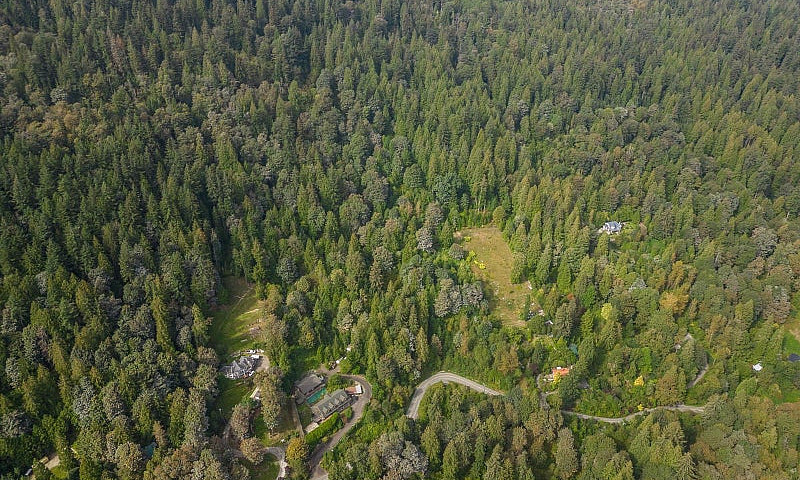 10545 Stave Lake Roa...