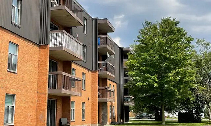 1 Bedroom Apartment ...