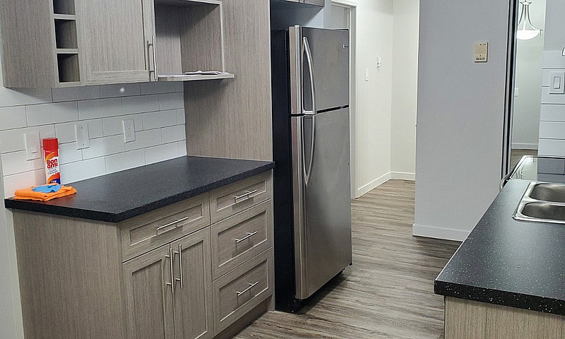 8804 95 Ave - Renova...