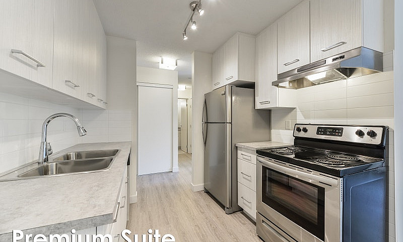 2 Bedroom Basement P...