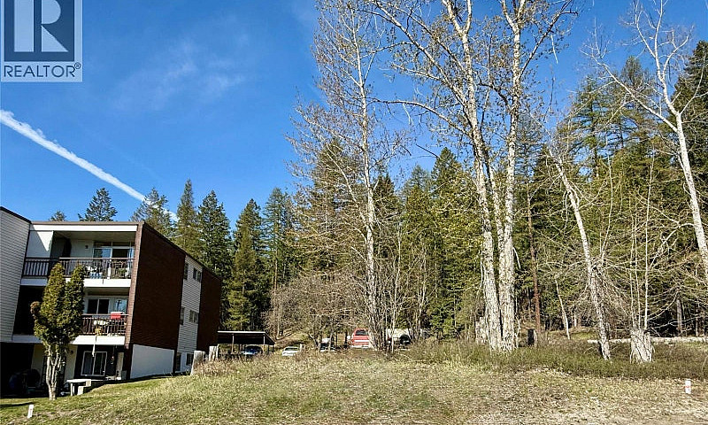203 Norton Avenue Ki...