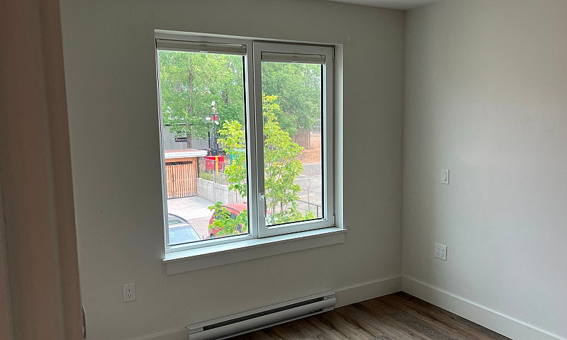1 Bedroom Apartment ...