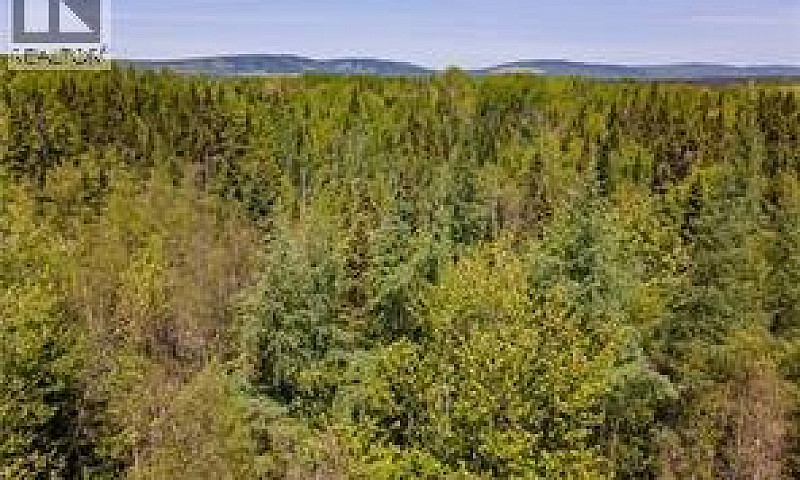 Lot Creek Road Berwi...