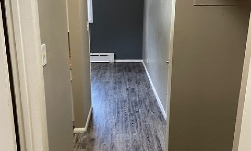 506 Balmoral - 1 Br ...