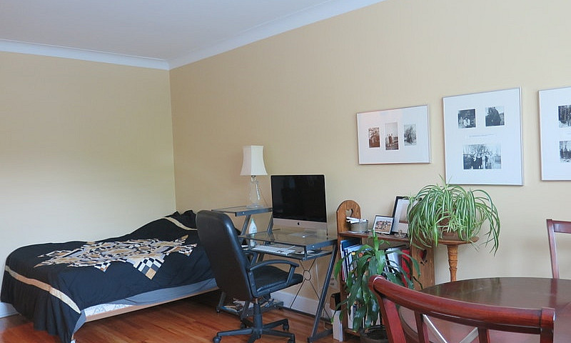 Renovated Bachelor! ...