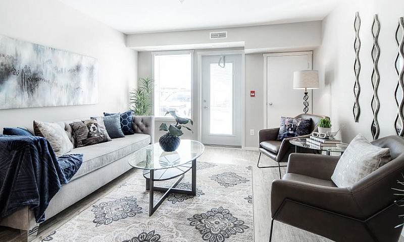 Pet-Friendly One Bed...