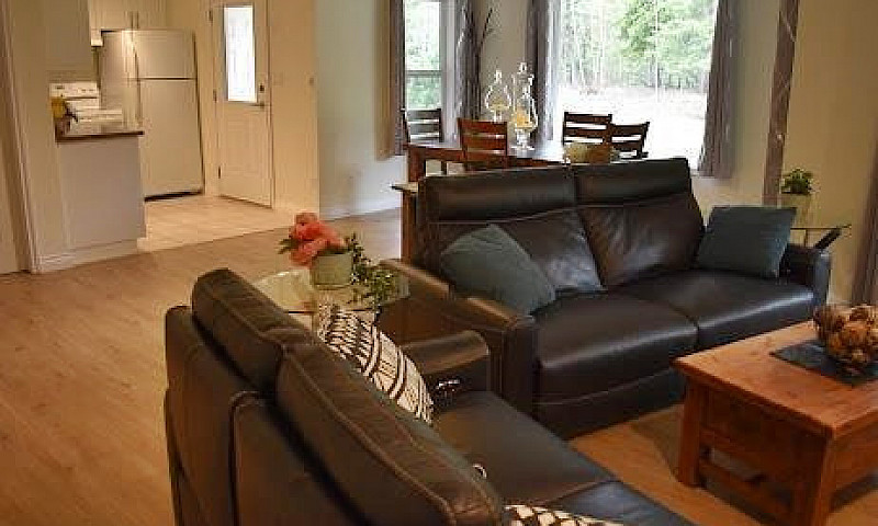 Reduced Price! Priva...