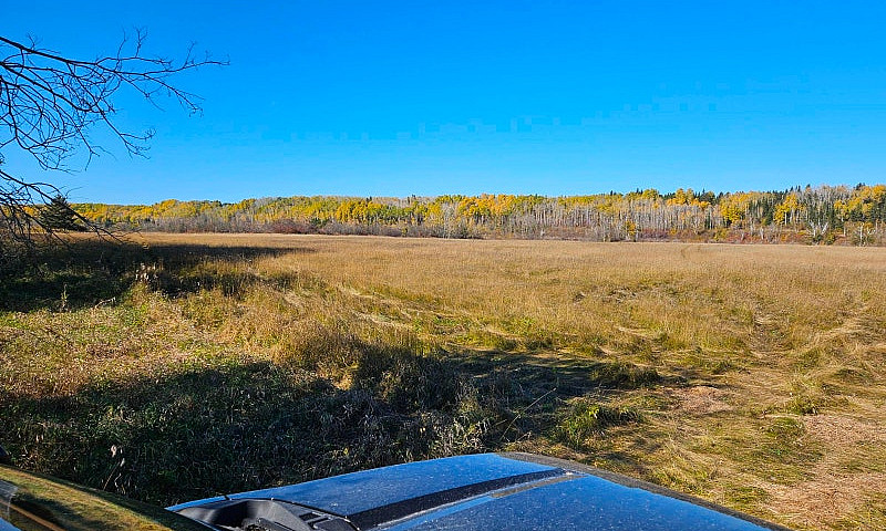 17.5 Acre Property...