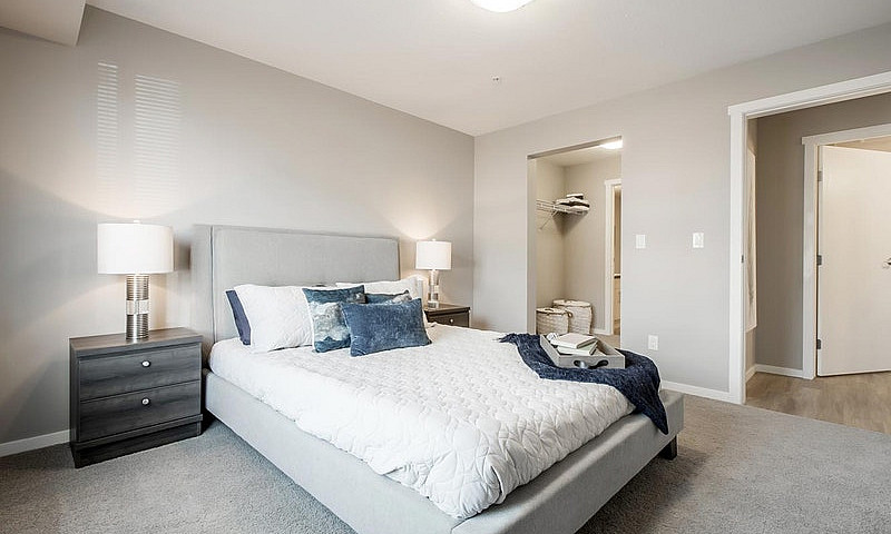 Pet-Friendly One Bed...