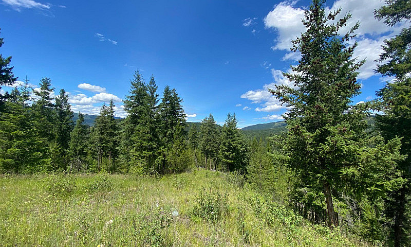 21+ Acres With Views...