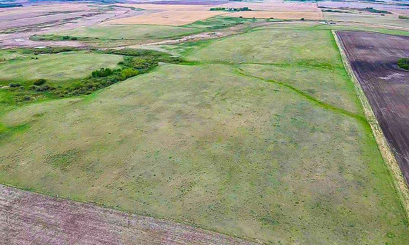 129.02 Acres Near Ba...