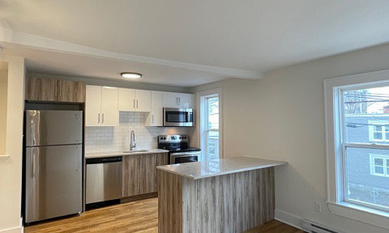 Newly Renovated 1 Be...