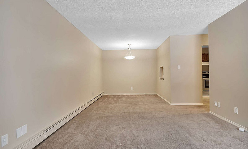 1 Bedroom - 41 Munro...
