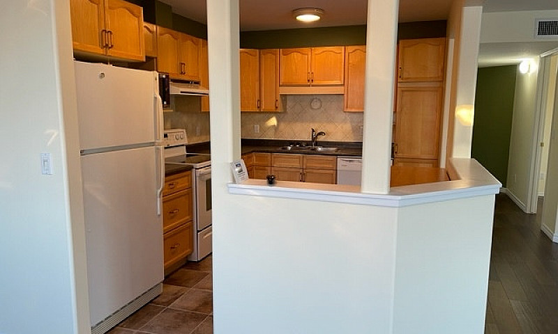Beautiful 3 Bedroom ...