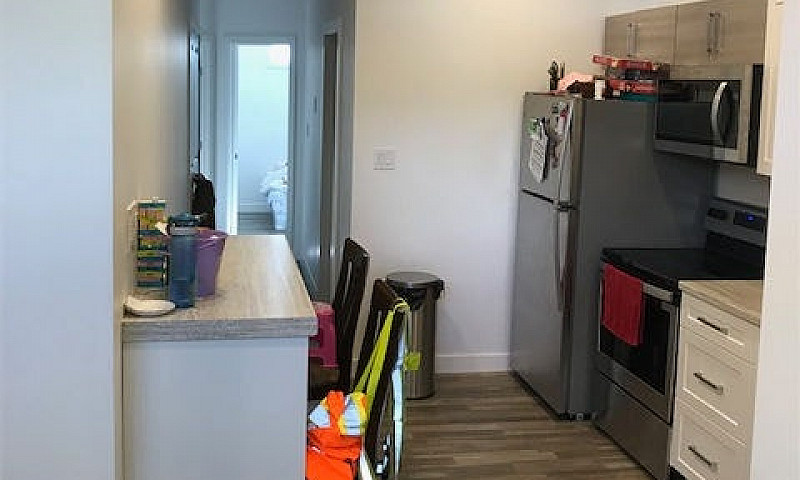 New Build Basement S...