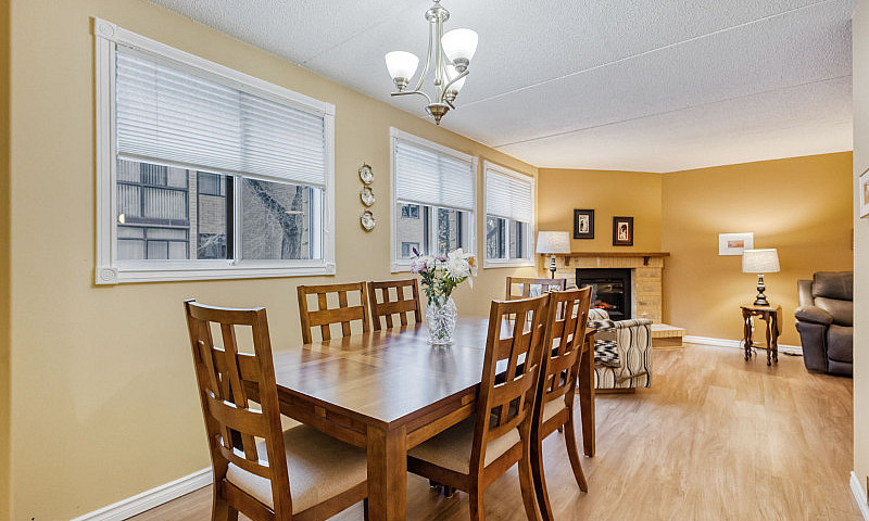 Pet-Friendly Condo I...