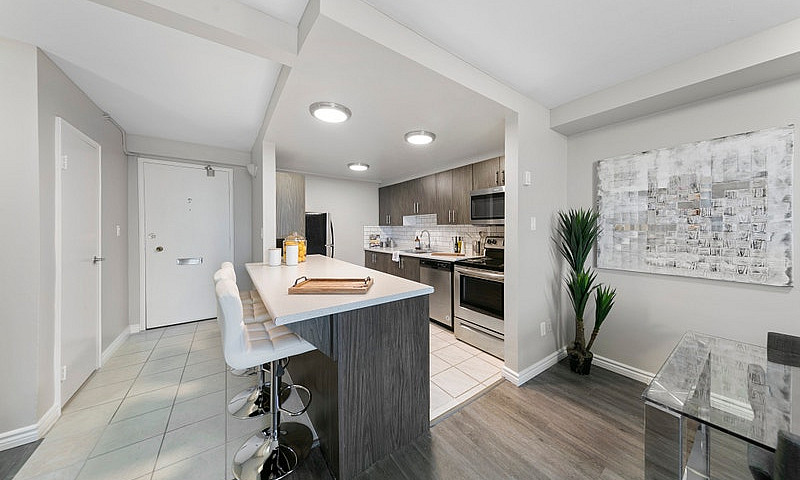 1 Bedroom Apartment ...