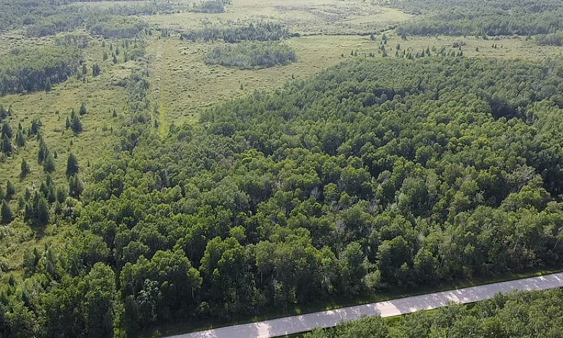 7.51 Acre Property I...